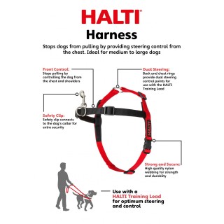 HALTI PETTORINA MEDIUM