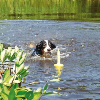 GIOCO RIPORTO ACQUA