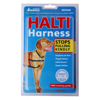 HALTI PETTORINA MEDIUM