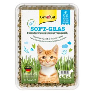 GIMCAT ERBA-GATTO EX.SOFT 100GR