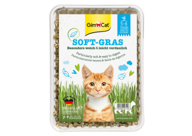 GIMCAT ERBA-GATTO EX.SOFT 100GR