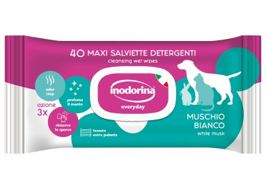 Inodorina Salviette Everyday Muschio 40pz