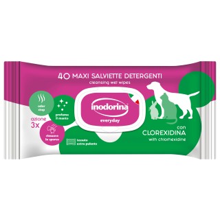 Inodorina Salviette Everyday Clorexidina 40pz