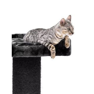 Cat tree Maine Coon 117 Black