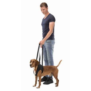 IMBRACATURA di SOSTEGNO &34L-XL&34 75-85cm. IMBRACATURA di SOSTEGNO &34L-XL&34 75-85cm.