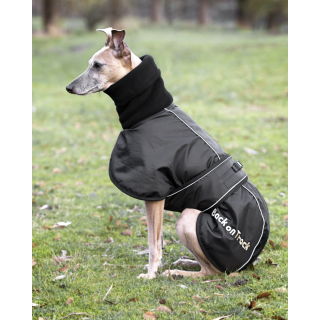 CAPPOTTINO WHIPPET imbottito