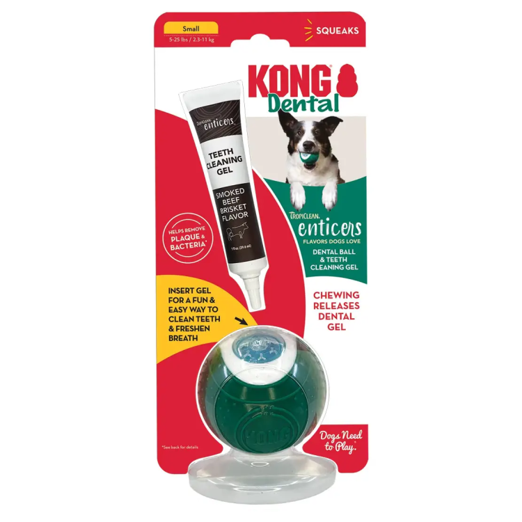KONG DENTAL ball kit small KONG DENTAL ball kit small