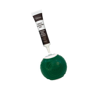 KONG DENTAL ball kit medium