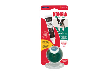 KONG DENTAL ball kit large