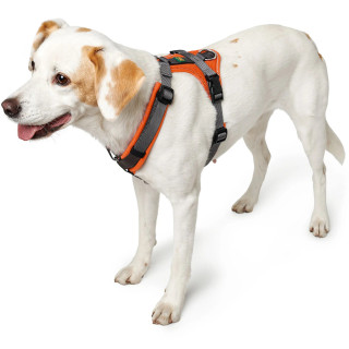 Harness Maldon Up 47-69/S-M Polyester orange/grey