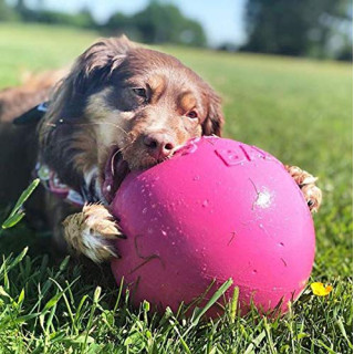 JOLLY BALL 15cm. ROSA