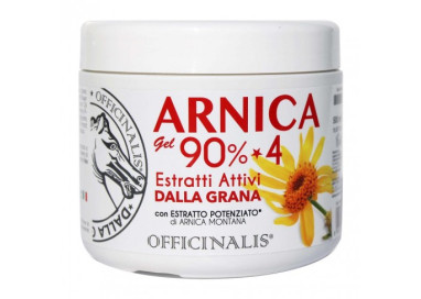 ARNICA GEL 90 ml.500
